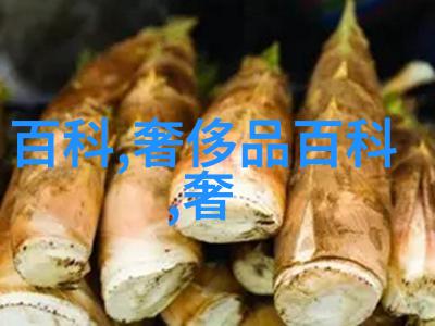 篮球梦游记灌篮高手手游首发引航新篇章