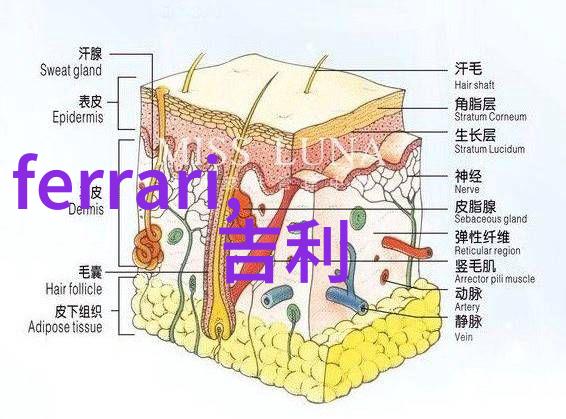 博越-探索未知的边界从地理到心灵的无限旅程