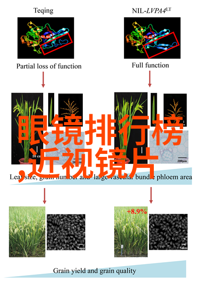 寒风中绽放的玫瑰金项链的沉默守护者