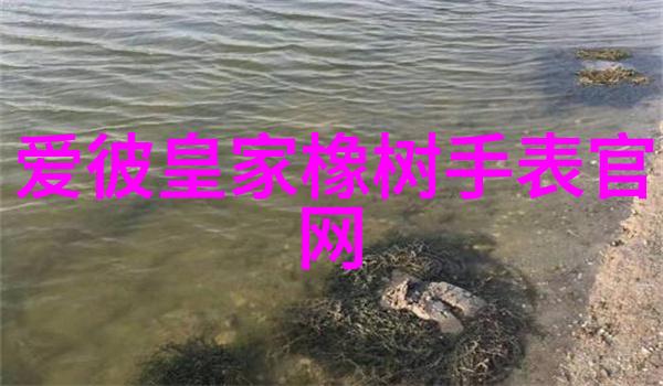 厨房设计大师揭秘家居潮流的味道与风景