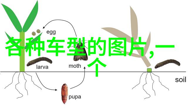 男生自然短碎发型我的街头时尚小贴士