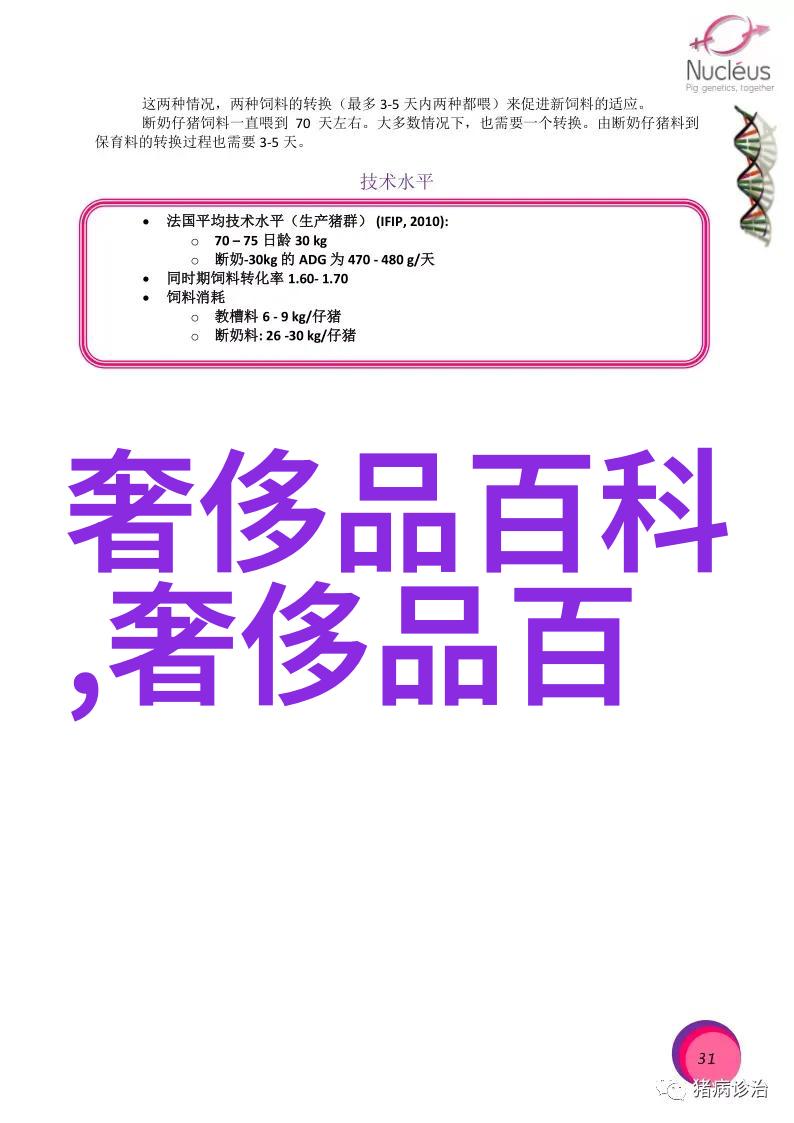 别拉斯风情探索南美洲的文化与自然奇迹