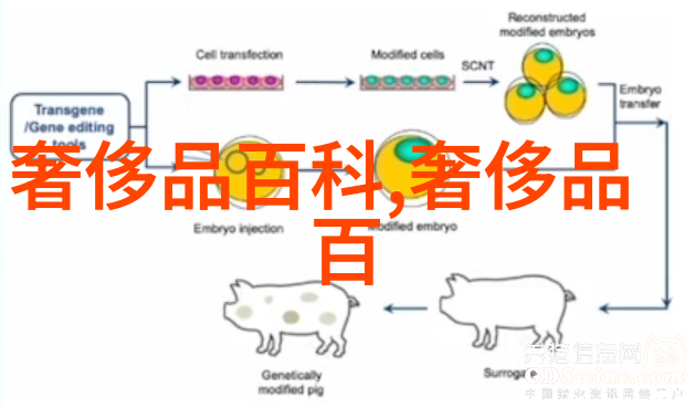 空中惊魂飞机紧急降落航空事故的生死悬念