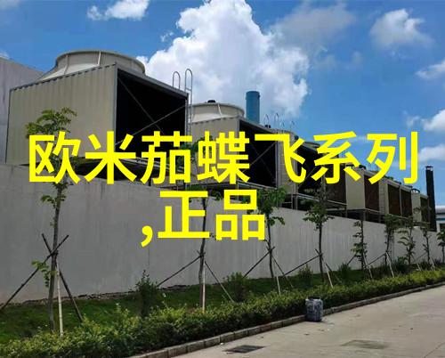 一次小插曲揭示了大问题如何防止家庭监控系统滥用