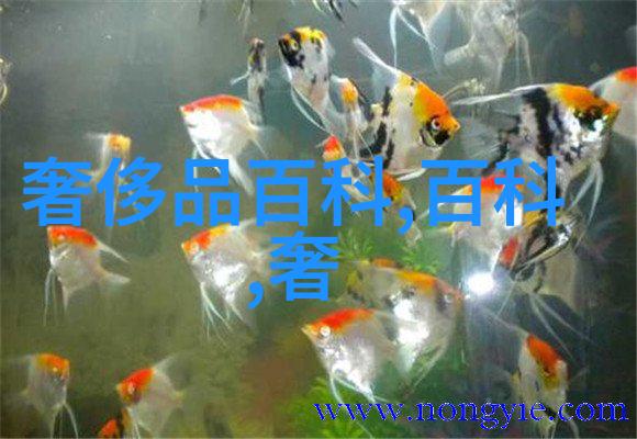 子豪的无尽牛奶一场永不枯竭的甜蜜奇遇