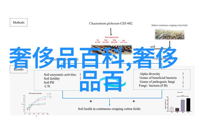 专业设计发型时尚造型师的艺术魅力