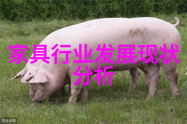 你的多肉还少了它一个花盆让肉肉更具生气