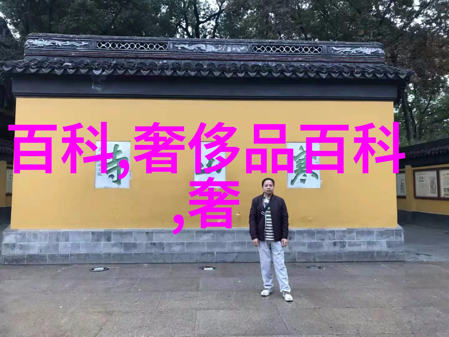 偷天换日揭秘数字时代的steal下载文化