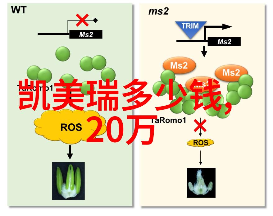 学霸竹马偏执的恋情