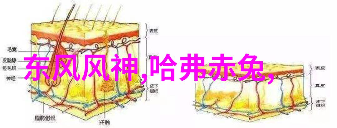 时尚革新穿越时装的无限可能