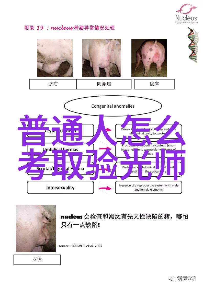 发型扎法简约时尚的发饰技巧