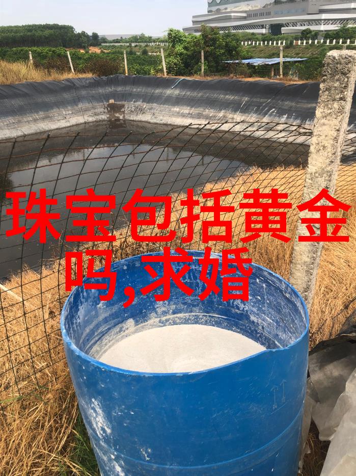 银饰之美了解不同类型的银质珠宝