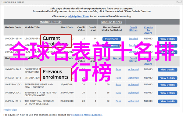 温暖的春天就要来啦应该给家里面的小花换一个新家了吧