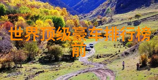 娇花绽放一段温馨的养成旅程