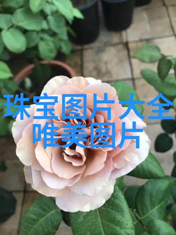 近视镜配戴医院与眼镜店哪家强