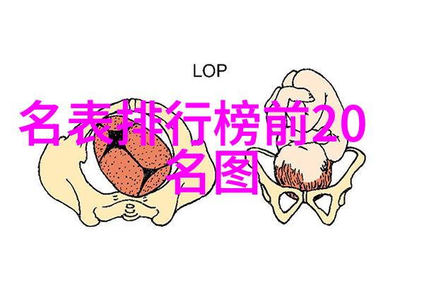 如何正确使用头皮夹