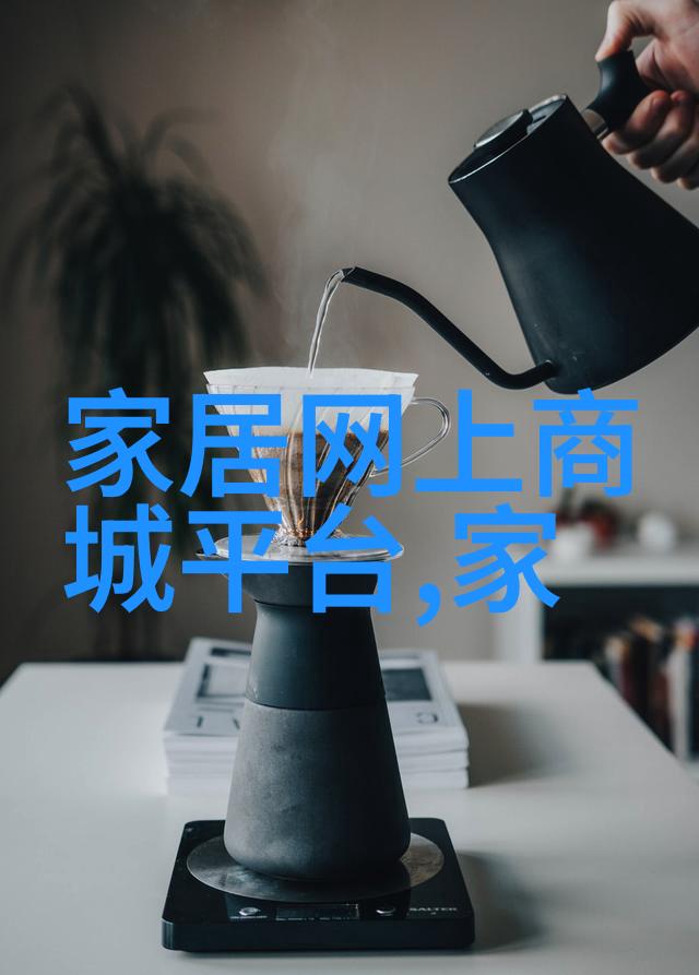 张锐篮球场上的风暴者