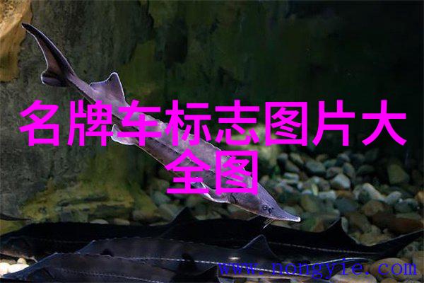 嫣然一抹色彩多重意义蕴含浅析符号学在香水小说中的应用