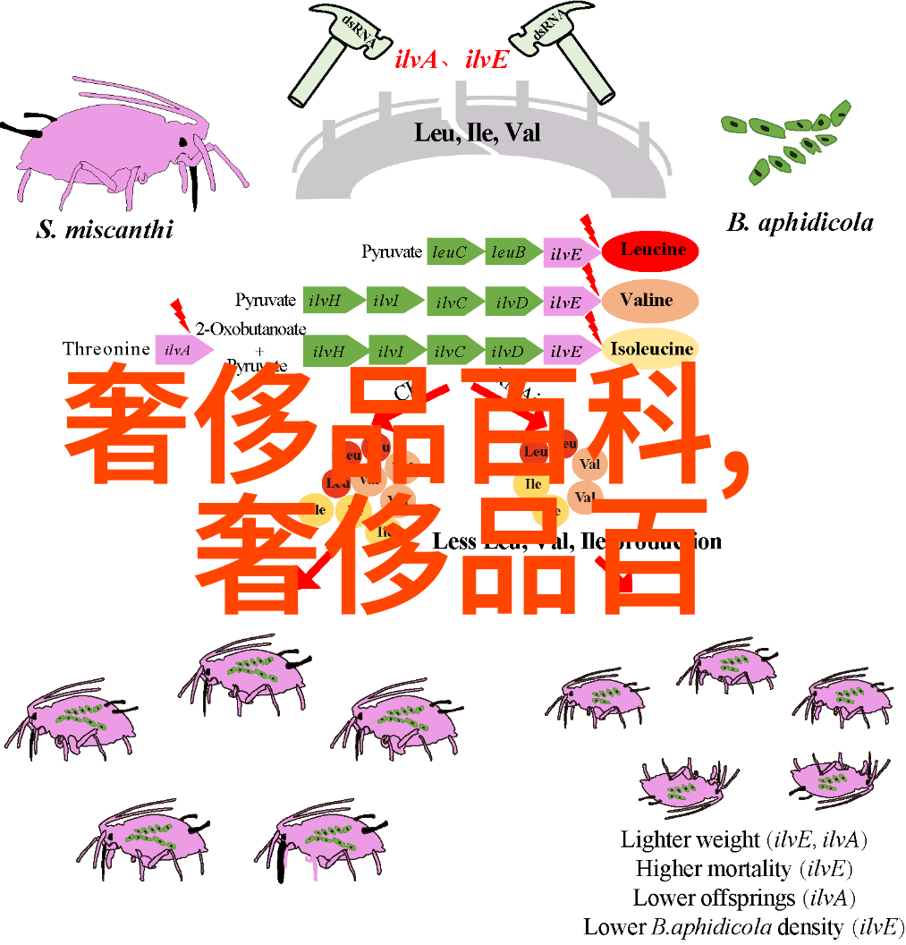 近视防控眼镜有用吗-预防近视的助手深入探究防控眼镜的有效性