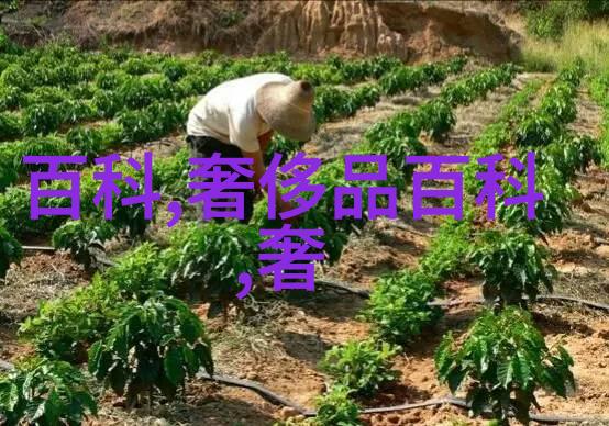 眼镜直通车镜片的价格表-精准视界解读眼镜直通车镜片最新价格表