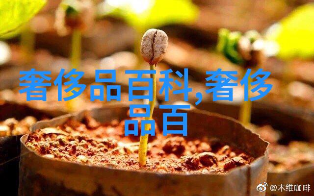 甜蜜入侵心扉浪漫爱情故事