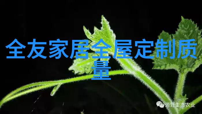 透视眼镜探索未知的秘密我是如何发现隐藏世界的