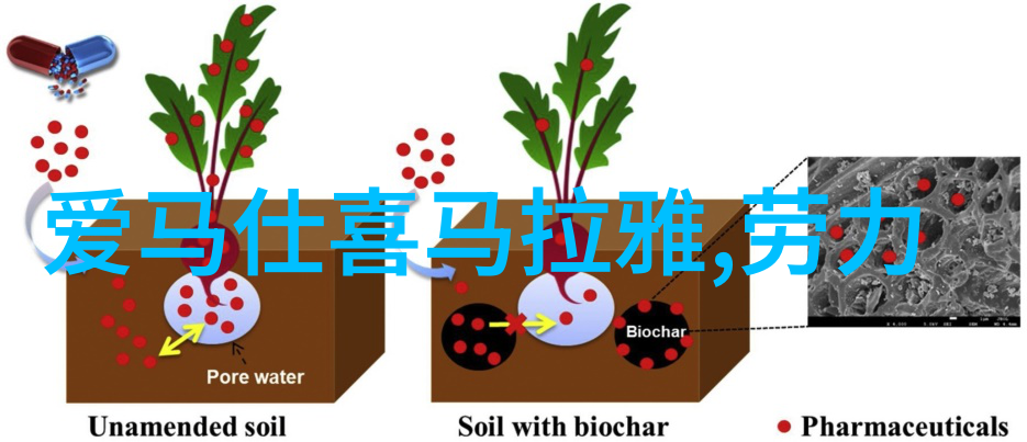 张晓龙逆袭之星的璀璨旅途