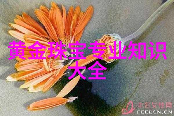 在现代社会家居如何适应我们的需求和生活方式变化