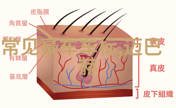 伊视可验光车上门配眼镜这项服务对不同年龄段的人群来说都适用吗