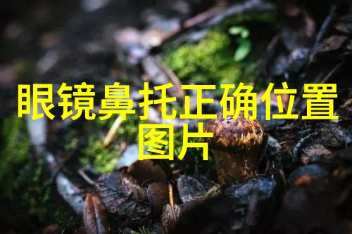 清洁的秘密眼镜布的故事与实用