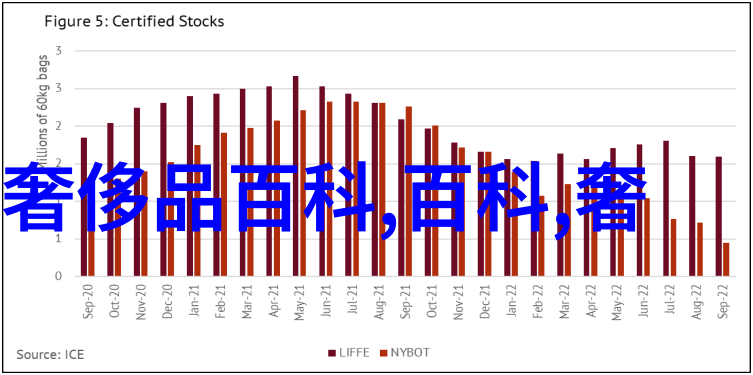 视客网美瞳专业美瞳解决方案提升眼部魅力