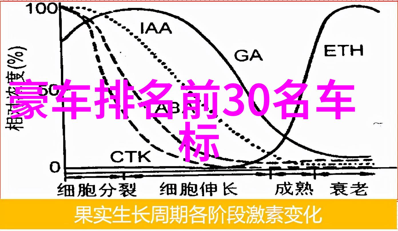 数字的节奏1.61与科技创新之间的和谐共振