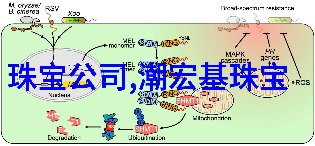 第六届北京国际电影节主题观影活动策划方案完美收官项目创投版块征集大放异彩