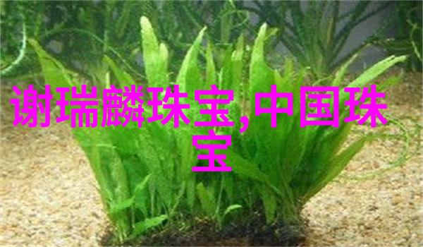 流行趋势分析追踪每季最新的现代时尚头饰风格