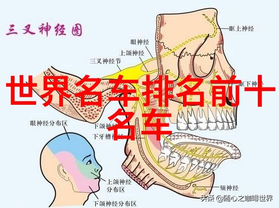 我爱的豪华之选劳斯莱斯suv我的奢华生活伴侣