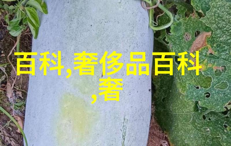 秘密地下室 - 深藏都市之下一段隐藏的秘密故事