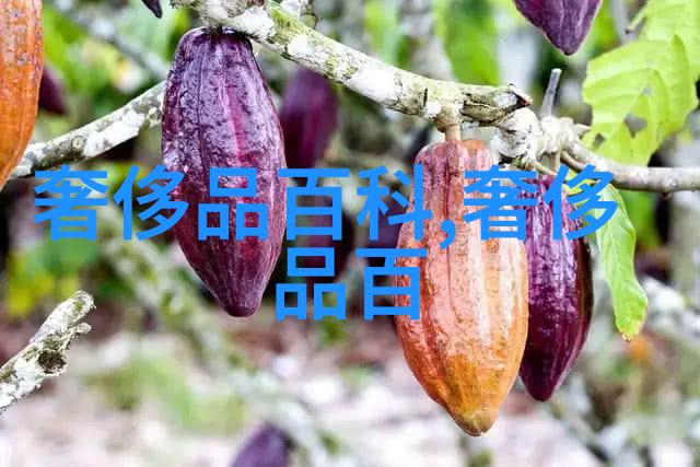 1头像数字时代的自我表达与隐私探讨