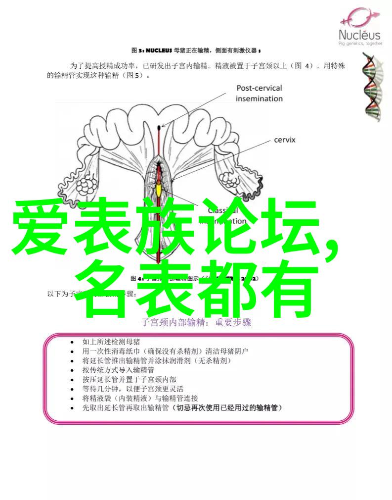 萃华珠宝我心中的光芒之冠