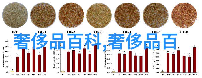 眼镜布清洁护理专用小物件