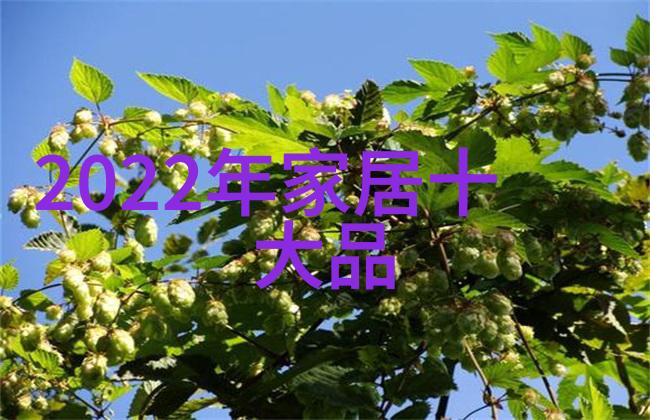 相亲2高清字幕下载-追逐幸福的脚步解密相亲2高质量字幕下载