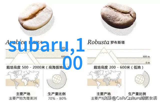 风华正茂齐肩短发的魅力探索