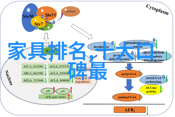 理发过程中 hairstylist 是如何感知每一寸皮肤的微妙变化以至于能准确判断客户的头发需求和风