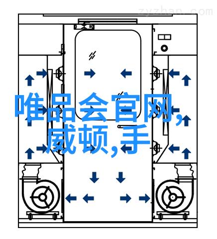 专业设计发型-精致造型时尚追踪探索现代发型设计的艺术与科技融合