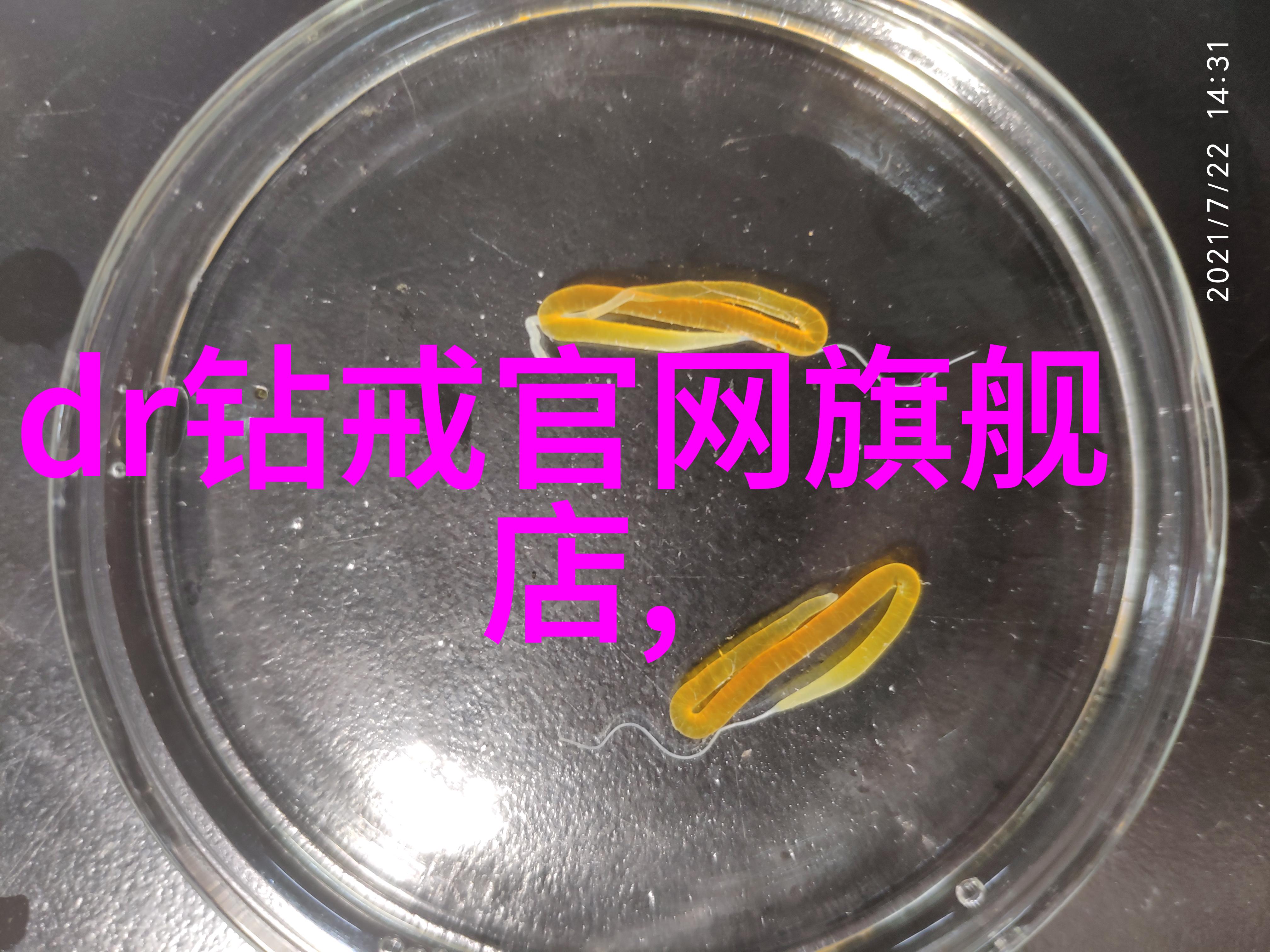 时尚纵横中年女士短发艺术探索