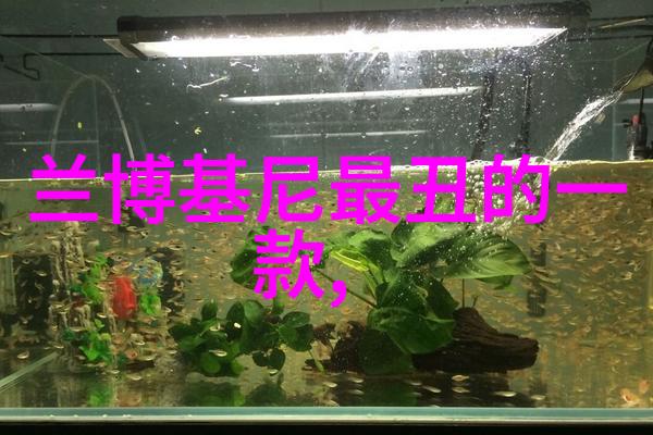 化妆师的秘密武器打造完美的40后女性减龄发型