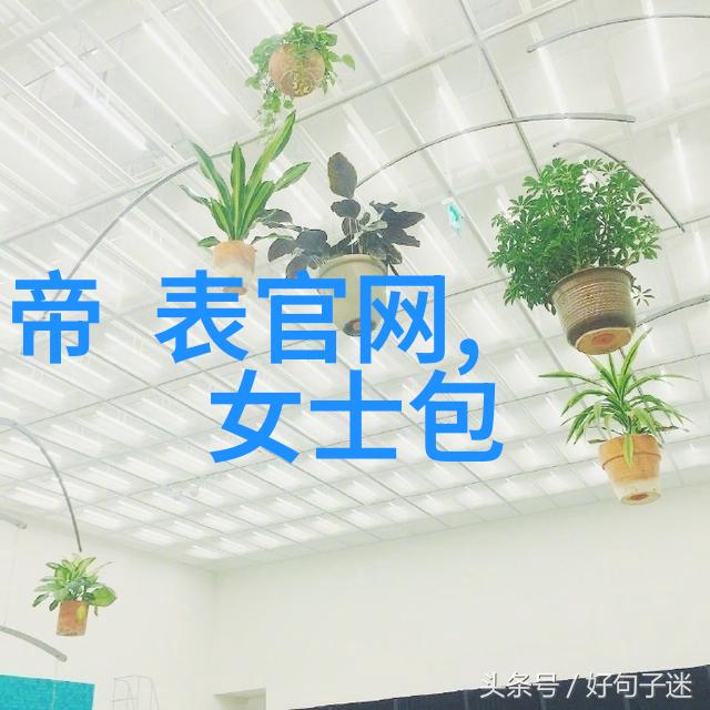 数字足迹se999se.com的网络世界探秘