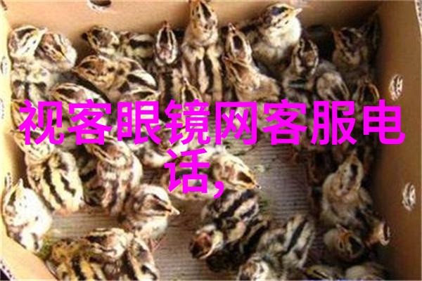 珠宝估价查询的学术探究理论基础与实践应用