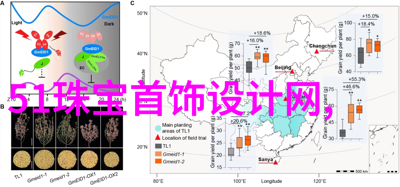 视客网 美瞳 - 美瞳之旅探索视客网如何赋予你的眼睛亮泽与魅力