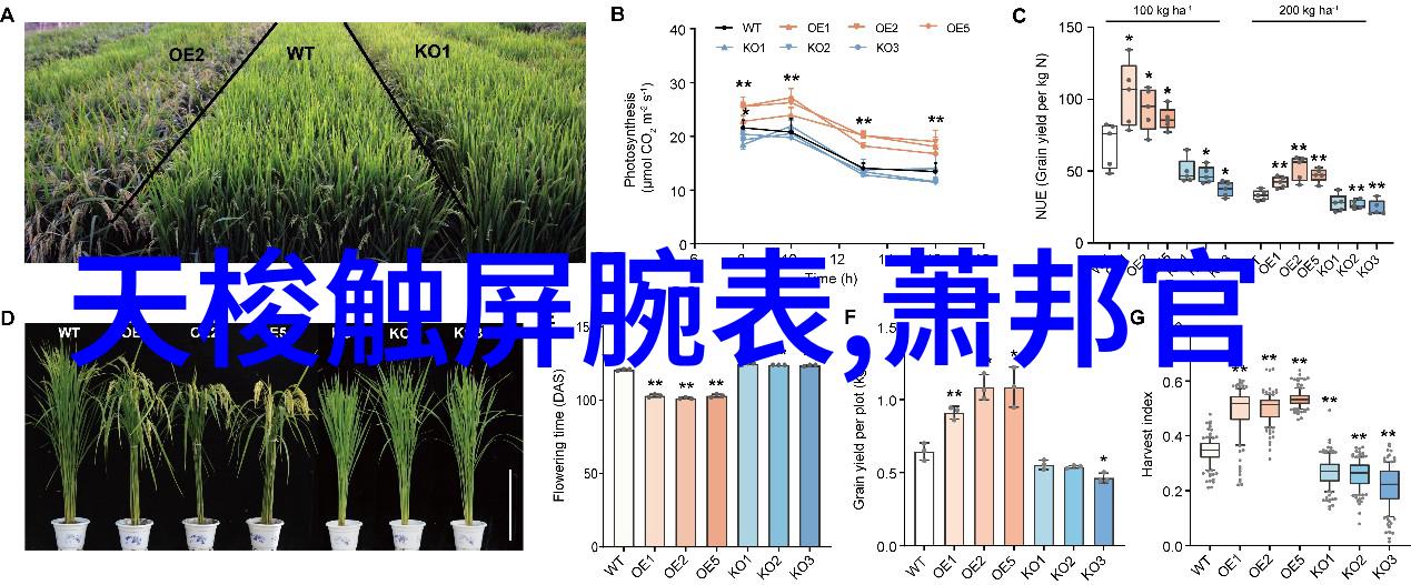 轻松拥抱简单气质一站式编发教程