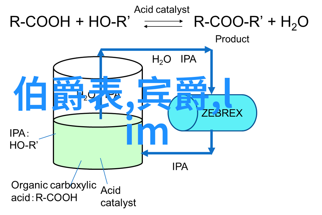 洗头发视频教程-从干燥到亮泽10个精准步骤的洗发技巧